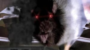 Rat Scratch Fever — foto 1