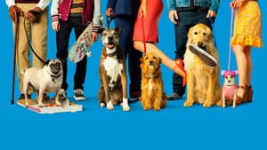 Dia De Perros — foto 1