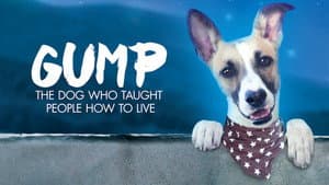 Gump: Una lección de vida — foto 2