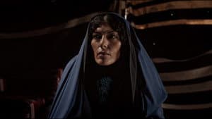 هجّان — foto 7