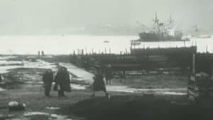 Valdivia 1960, El Gran Terremoto — foto 2
