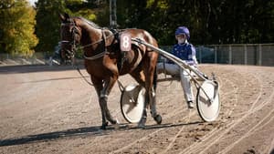 2 unter Millionen — foto 3