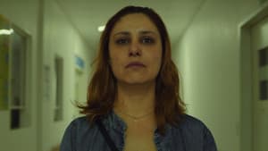 Ursa — foto 1