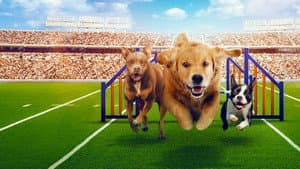 Puppy Bowl Presents: The Dog Games — foto 1