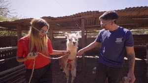 Episodio 4
