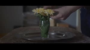 Flowers — foto 2