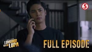 Episodio 14