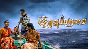 இரவு பறவை — foto 1