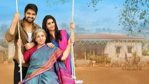 అమ్మమ్మగారిల్లు — foto 3