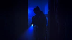 El paraíso — foto 1