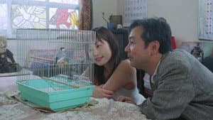 人妻･OL･美少女系 悶絶アパート — foto 1