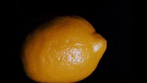 Lemon — foto 1