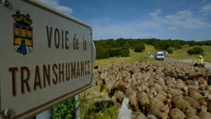 Sur la Route des Bergers — foto 1