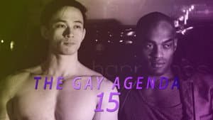 The Gay Agenda 15 — foto 1