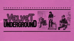 The Velvet Underground — foto 2