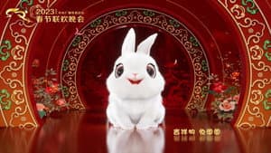 中央广播电视总台春节联欢晚会 — foto 2