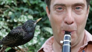 Why Birds Sing — foto 1