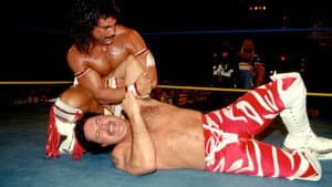 WCW SuperBrawl IV — foto 3