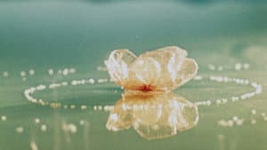 Inspirace — foto 6