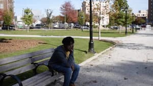 Park Birds — foto 1