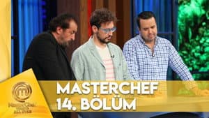 Episodio 14