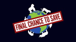 Final Chance to Save — foto 1