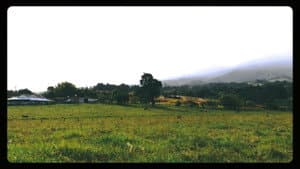 La Trocha — foto 1