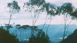 Australian Bush — foto 12