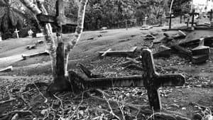 Fordlandia Malaise — foto 2
