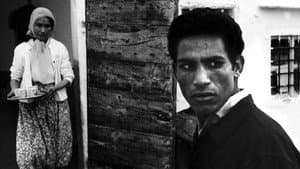 Marxist Poetry: The Making of The Battle of Algiers — foto 6
