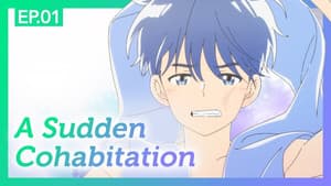 A Sudden Cohebition