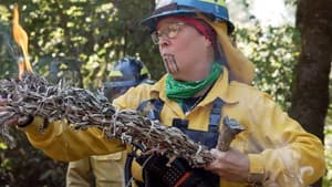 Firelighters: Fire is medicine — foto 1