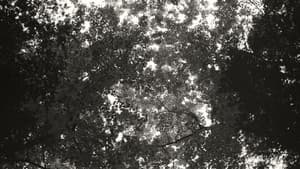 Idle Hours — foto 1