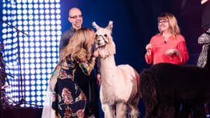 Episodio 32
