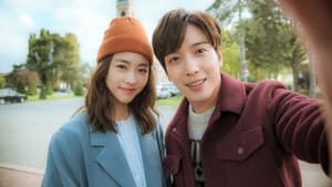 더 패키지 — foto 2