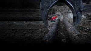 Ax Men — foto 4