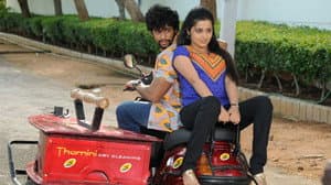 பித்தல மாத்தி — foto 1