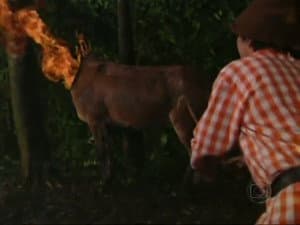 Episodio 77
