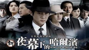 夜幕下的哈尔滨 — foto 2