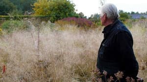 Five Seasons: The Gardens of Piet Oudolf — foto 2