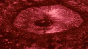 Una sombra oscilante — foto 2