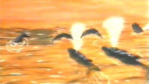 Hampie - ein kleiner Wal entdeckt seine Welt — foto 4