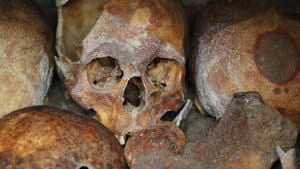 The Search for Alfred the Great — foto 3