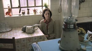 Reflexões de um Liquidificador — foto 3