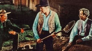 El hombre del oeste — foto 9