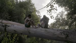 Para Norte — foto 1