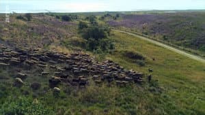 Sylt - Wellen, Wind und Watt — foto 6