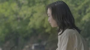 잠적 — foto 1