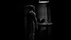 The Hollow Rabbit — foto 1