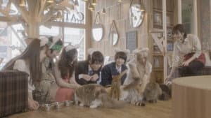 猫カフェ — foto 3